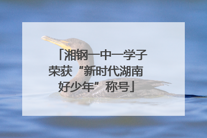湘钢一中一学子荣获“新时代湖南好少年”称号