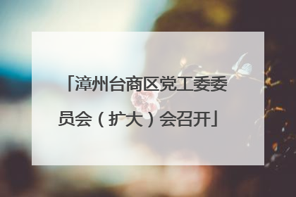 漳州台商区党工委委员会（扩大）会召开