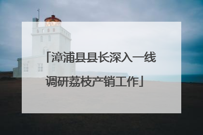 漳浦县县长深入一线调研荔枝产销工作