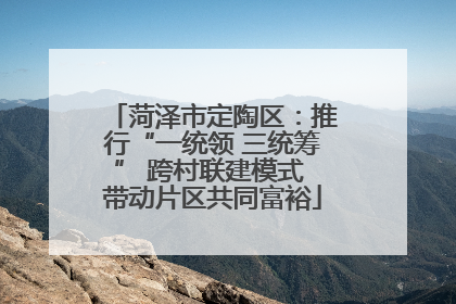 菏泽市定陶区：推行“一统领 三统筹” 跨村联建模式 带动片区共同富裕