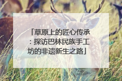 草原上的匠心传承：探访巴林民族手工坊的非遗新生之路