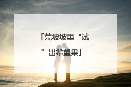 荒坡坡里“试”出希望果