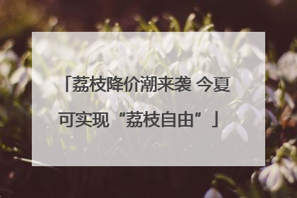 荔枝降价潮来袭 今夏可实现“荔枝自由”