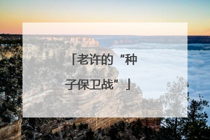 老许的“种子保卫战”