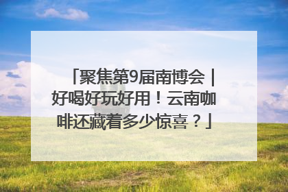 聚焦第9届南博会｜好喝好玩好用！云南咖啡还藏着多少惊喜？
