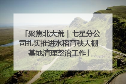 聚焦北大荒｜七星分公司扎实推进水稻育秧大棚基地清理整治工作