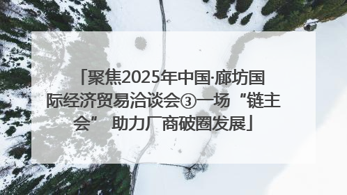 聚焦2025年中国·廊坊国际经济贸易洽谈会③一场“链主会” 助力厂商破圈发展