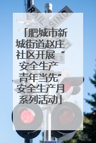 肥城市新城街道赵庄社区开展“安全生产 青年当先”安全生产月系列活动