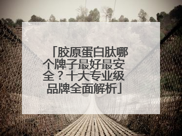 胶原蛋白肽哪个牌子最好最安全？十大专业级品牌全面解析
