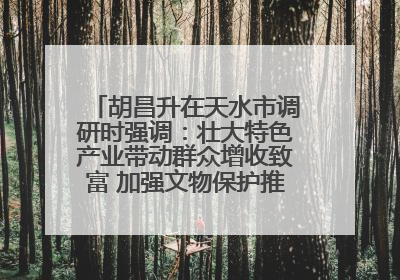 胡昌升在天水市调研时强调：壮大特色产业带动群众增收致富 加强文物保护推动文化创新发展