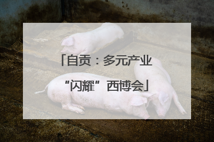 自贡：多元产业“闪耀”西博会