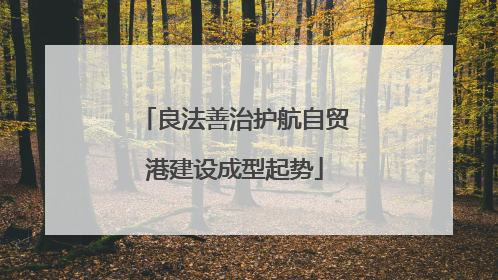 良法善治护航自贸港建设成型起势