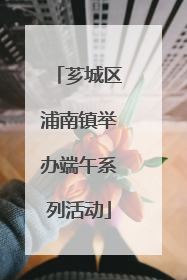 芗城区浦南镇举办端午系列活动