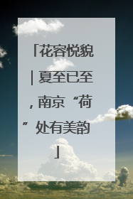花容悦貌｜夏至已至，南京“荷”处有美韵