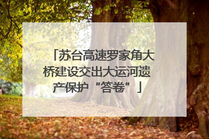 苏台高速罗家角大桥建设交出大运河遗产保护“答卷”