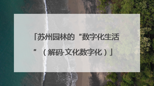 苏州园林的“数字化生活”（解码·文化数字化）
