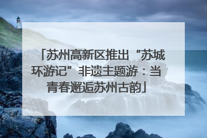 苏州高新区推出“苏城环游记”非遗主题游：当青春邂逅苏州古韵