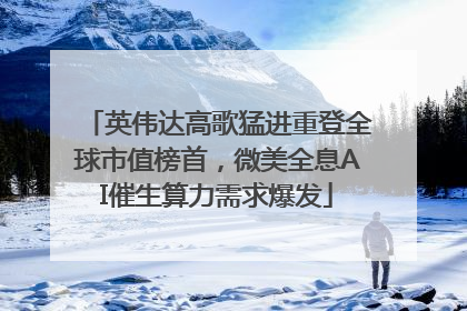 英伟达高歌猛进重登全球市值榜首，微美全息AI催生算力需求爆发