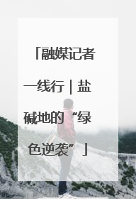 融媒记者一线行｜盐碱地的“绿色逆袭”