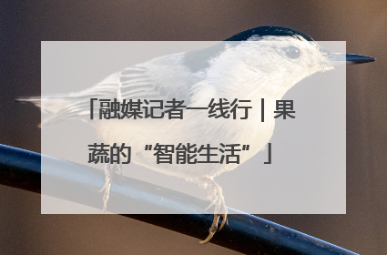 融媒记者一线行｜果蔬的“智能生活”