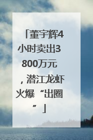 董宇辉4小时卖出3800万元，潜江龙虾火爆“出圈”