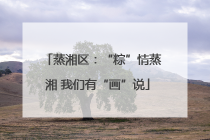 蒸湘区：“粽”情蒸湘 我们有“画”说