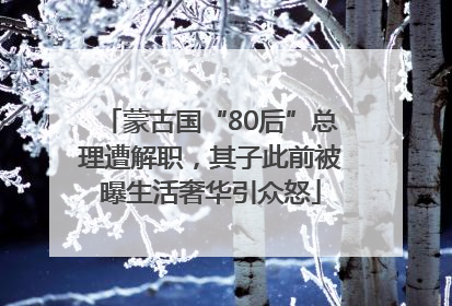 蒙古国“80后”总理遭解职，其子此前被曝生活奢华引众怒
