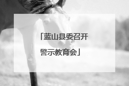蓝山县委召开警示教育会