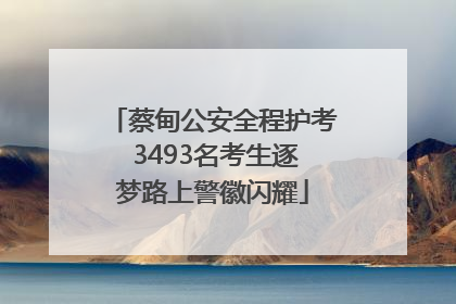 蔡甸公安全程护考 3493名考生逐梦路上警徽闪耀