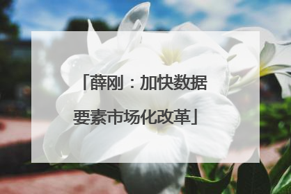 薛刚：加快数据要素市场化改革