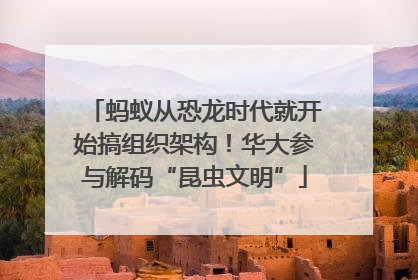 蚂蚁从恐龙时代就开始搞组织架构！华大参与解码“昆虫文明”