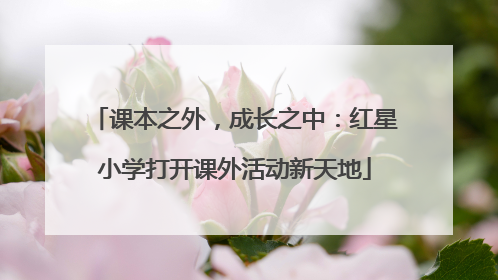 课本之外，成长之中：红星小学打开课外活动新天地