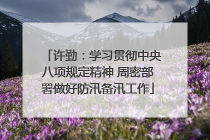 许勤：学习贯彻中央八项规定精神 周密部署做好防汛备汛工作