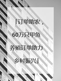 订单助农，60万只甲鱼养殖订单助力乡村振兴