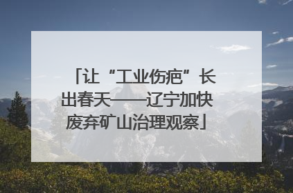 让“工业伤疤”长出春天——辽宁加快废弃矿山治理观察