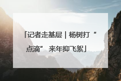 记者走基层｜杨树打“点滴” 来年抑飞絮