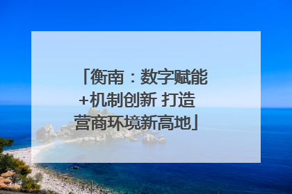 衡南：数字赋能+机制创新 打造营商环境新高地