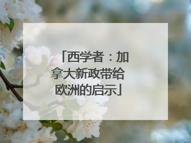西学者：加拿大新政带给欧洲的启示