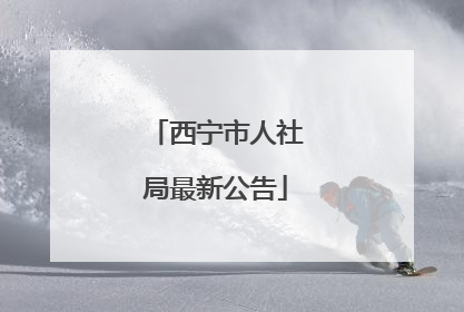 西宁市人社局最新公告