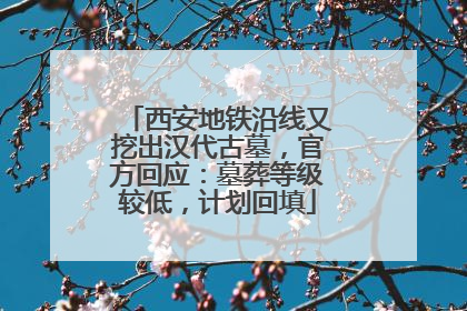 西安地铁沿线又挖出汉代古墓，官方回应：墓葬等级较低，计划回填