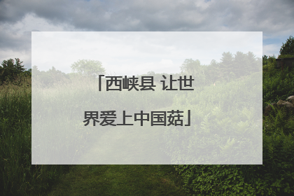 西峡县 让世界爱上中国菇