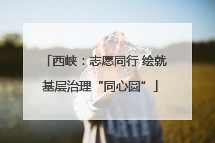 西峡：志愿同行 绘就基层治理“同心圆”