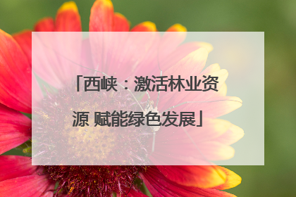 西峡：激活林业资源 赋能绿色发展