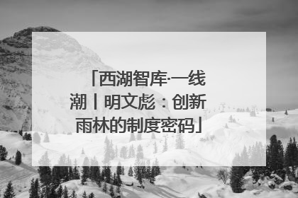 西湖智库·一线潮丨明文彪：创新雨林的制度密码