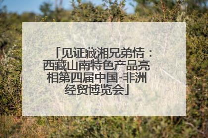见证藏湘兄弟情：西藏山南特色产品亮相第四届中国-非洲经贸博览会