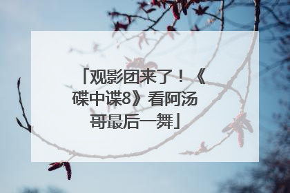 观影团来了！《碟中谍8》看阿汤哥最后一舞
