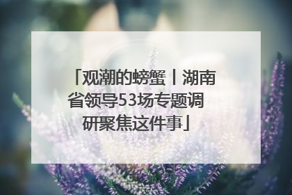 观潮的螃蟹丨湖南省领导53场专题调研聚焦这件事