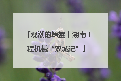 观潮的螃蟹丨湖南工程机械“双城记”