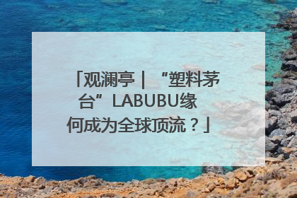 观澜亭｜“塑料茅台”LABUBU缘何成为全球顶流？
