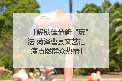 解锁佳节新“玩”法 菏泽曹县文艺汇演点燃群众热情